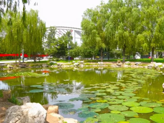 【资讯】2020年北京建成106处公园，第一批名单来啦！地处东城、西城、朝阳！(图23)